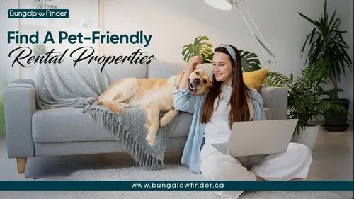 Find Pet-Friendly Rentals with Ease | Bungalow Finder