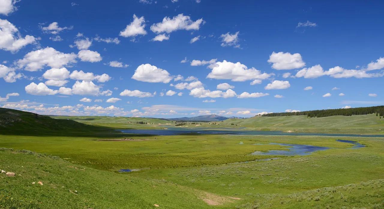 Banner for Oak Meadows Acton | Quality Homes by Finoro | Bungalow Finder